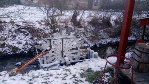 Zamrzlé vodní kolo (2021)