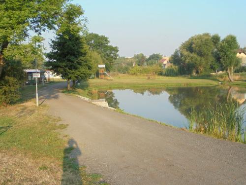 Cesta u&nbsp;rybníka - 2015